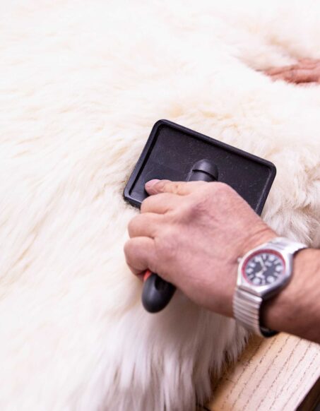 Sheepskin, Hides & Suedes Rugs